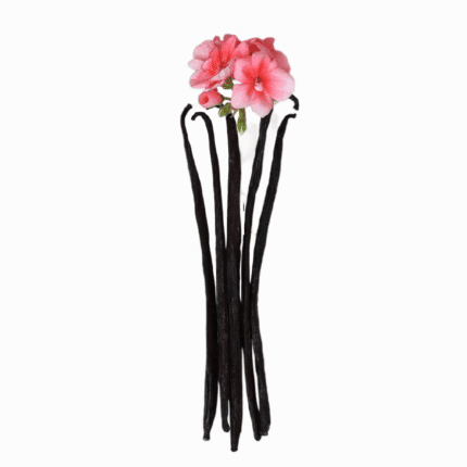 Bourbon vanilla pods