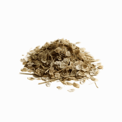 Persian Hogweed transformed