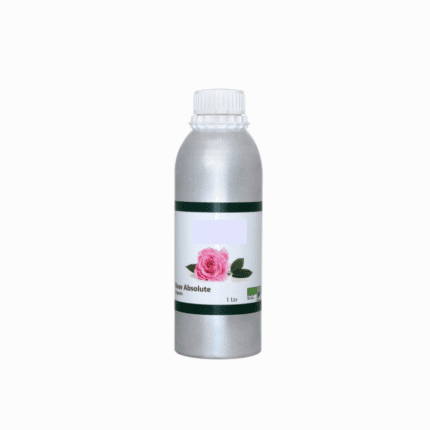 Rose Absolute Oil
