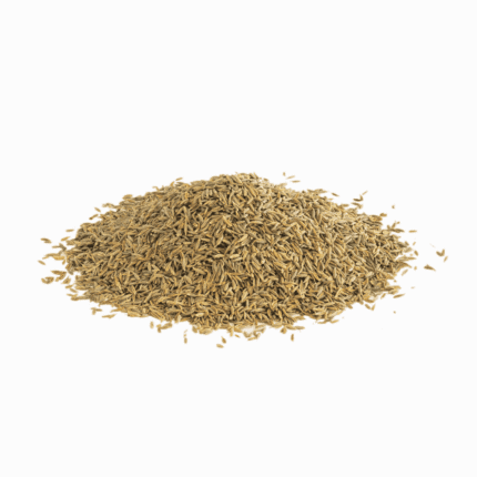 Cumin seeds - Easy-to-Grow Seeds