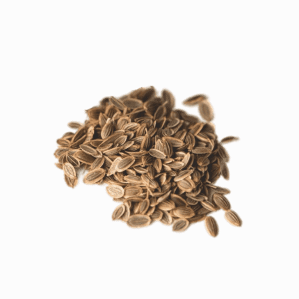 Dill seeds - Easy-to-Grow Seeds