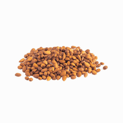 Mountain Almond