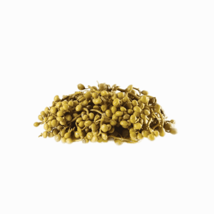 Pickled pistachios Atlantica