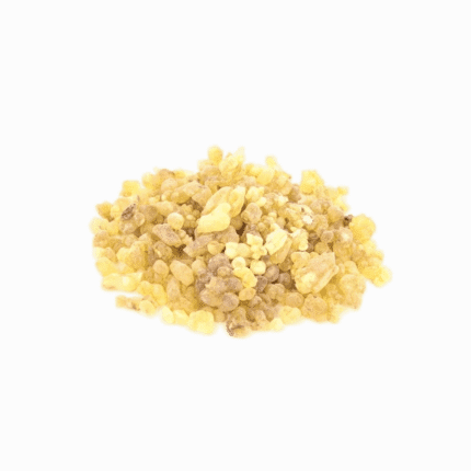 pistachia atlantica gum scaled 1 transformed 1