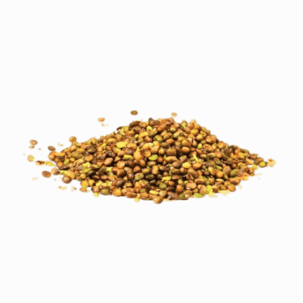 Pistacia Atlantica Kernel
