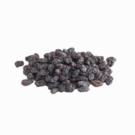 Black Currant