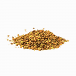 Pistacia Atlantica Kernel