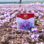 Blumental Bayern saffron box in a crocus field, offering high-quality organic products for a natural health wellness lifestyle.