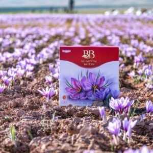 Blumental Bayern saffron box in a crocus field