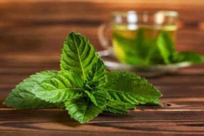 Fresh mint leaves on wood with a warm tea cup