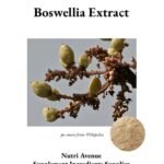 An image showcasing "Boswellia Extract", featuring a close-up photo of a Boswellia plant branch with green seed pods, a small inset circle showing the tan-colored extract powder.