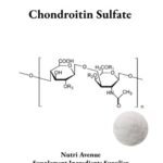 An image titled "Chondroitin Sulfate" featuring a chemical structure diagram of the polysaccharide and a small circular inset showing the product as a fine white powder.