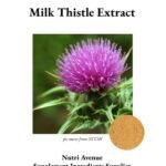 An image featuring a purple milk thistle flower with spiky green leaves, representing a Milk Thistle Extract product. A small circular inset shows the light brown extract powder. Text reads "Milk Thistle Extract" and "Nutri Avenue Supplement Ingredients Supplier".
