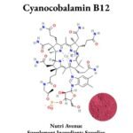 Chemical structure of Cyanocobalamin Vitamin B12, featuring its complex molecular diagram and a circular inset showing the raw, deep pink vitamin powder.